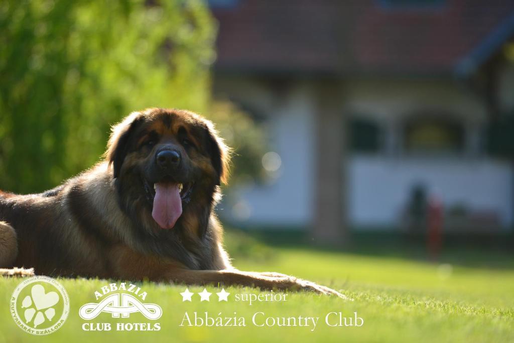 Abbazia Country Club Hotel Nemesnep Bagian luar foto